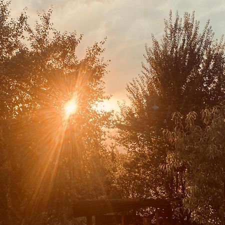 La Irmania Pension Ledenitzen Zewnętrze zdjęcie